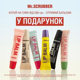 Mr.SCRUBBER