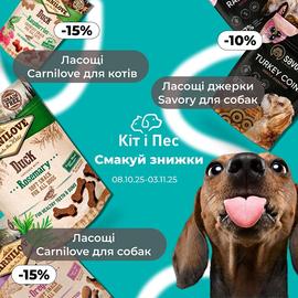 Кіт і Пес